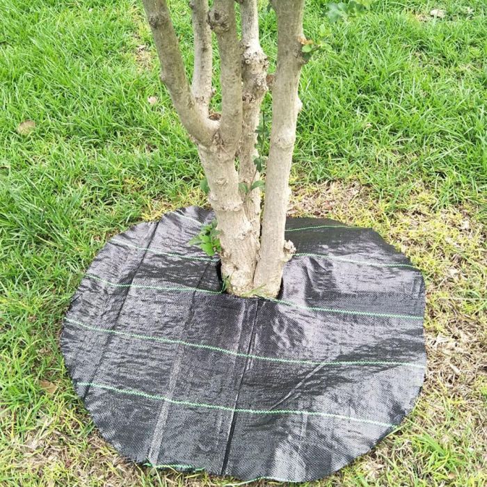 Telo professionale per pacciamatura anti alga/ erbacce in polipropilene 210cm x 100m - 100gr/mq